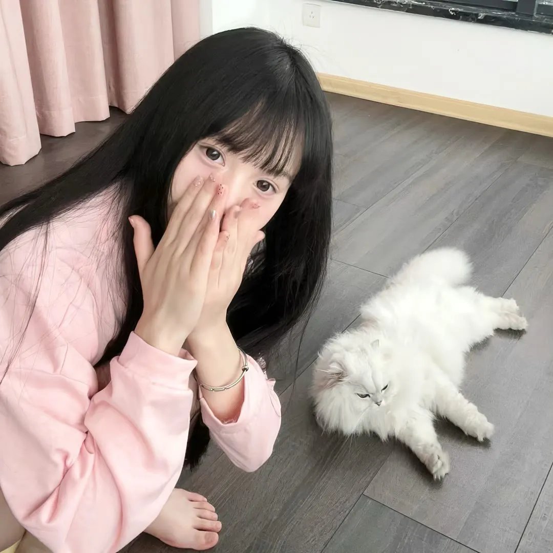 大捕快粤语